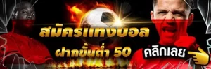 แทงบอลไหลฟรี